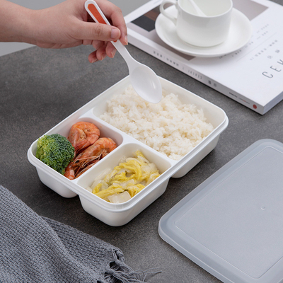 Eco Friendly BPA Free PP Plastic Bento Lunch Box For Kids