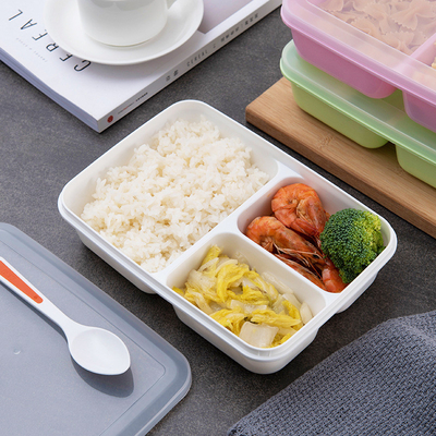 Kids Reusable Plastic Lunch Containers , BPA Free Bento Lunch Box