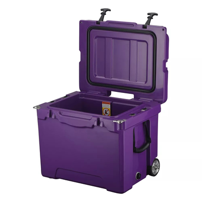 Cold Chain Rotomoulded Products Cooler Box Set For Fish Vaccine